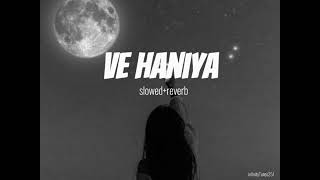 Ve haniya  song   slowed  reverb  ve haniya o Dil janiyan [upl. by Arivle872]