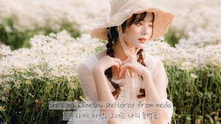 누구보다 그대를 사랑합니다 camellia  slchld  가사  해석  번역  lyrics [upl. by Enimasaj]