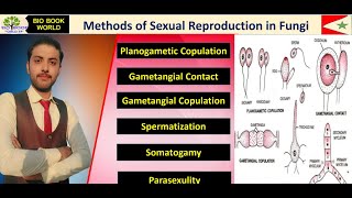 Methods of Sexual Reproduction in Fungi  Planogametic Copulation  Gametangial Contact  Hindi [upl. by Irby]