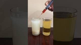 Simple Iodine solution vs starch water Experiment  Easy science experiment  youtubeshorts 😱😱 [upl. by Inatsed985]