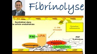 Fibrinolyse [upl. by Remmos]