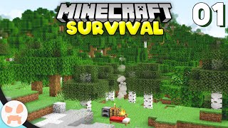 THE BRAND NEW ERA  Minecraft 118 Survival Episode 1 [upl. by Southworth851]