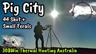 Hunting Boars with Thermal  Feral Pig Cat amp Fox Cull  Shooting Australia  308 Winchester [upl. by Yentrac]