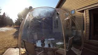 A real customer review about Alvantor bubble tent [upl. by Nna]