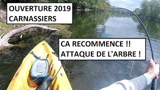 OUVERTURE CARNASSIERS 2019  Léchauffement [upl. by Mauchi293]