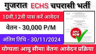 गुजरात ECHS चपरासी भर्ती 2024 ✅ 10वी12वी पास करें आवेदन ✅ बिना परीक्षा होंगी भर्ती [upl. by Euqinorev462]