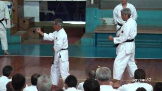 Stage di Karate SKII 2010Miura Senseipart 7 of 8 HD [upl. by Laufer]