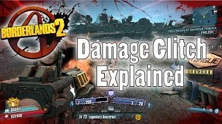 Borderlands 2  Damage Glitch Explained [upl. by Esikram]