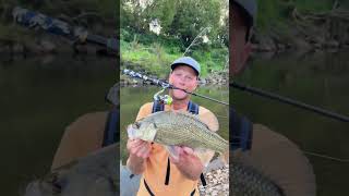 Bass Fishing SEQ Hinterlands [upl. by Naihr]