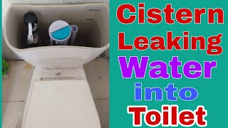 Cistern leaking water Into Toilet [upl. by Rehpotisrhc]