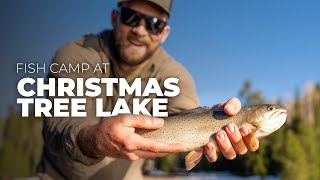 Christmas Tree Lake Fish Camp [upl. by Naaman]