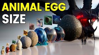 3D Eggs Size Comparison  Animal Egg Size [upl. by Acinej101]