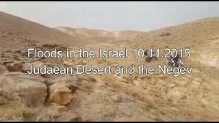 Floods in Israel 10112018  Judaean desert and the Negev שטפונות בנגב ובמדבר יהודה 10112018 [upl. by Destinee]