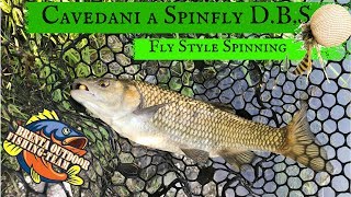 Cavedani a Spinfly DBS Fly Style Spinning [upl. by Norward]