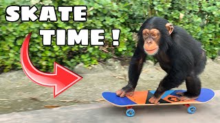 TEACHING A MONKEY HOW TO SKATEBOARD  WILL HE RIDE [upl. by Eidson]