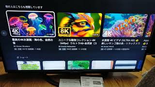 シャープ SHARP 4TC50AN1 2019年製 50インチ 4K テレビ HDR倍速Net動画 ユーチューブ アマプラ ネットフリックス 観れます！ [upl. by Aneekat194]