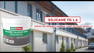 Lenduit de parement minéral liant silicate grain 16 [upl. by Aleydis452]