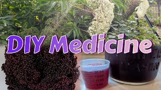 Elderberry Natures Medicine Immune Boost [upl. by Dranyer]