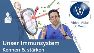 Mein Immunsystem Wie schützt es mich vor dem Coronavirus 😷 Das eigene Abwehrsystem verstehen ✅ [upl. by Terbecki]