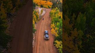 Fall colors drive through the high country of colorado fall leaves colorado backroads adventure [upl. by Nnaeirb]