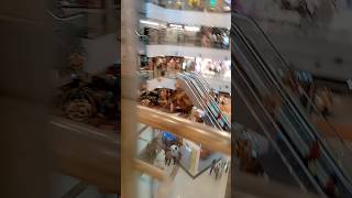 DLF Mall Noida kasturi song arijitsingh music shots viralshorts [upl. by Mima829]