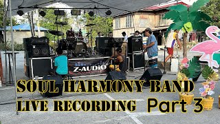 Live Band Recording Soul Harmony Band wedding gig Part 3 [upl. by Naivaj406]