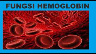 Hemoglobin Fungsi Nilai Normal Nilai Tidak Normal [upl. by Strauss]