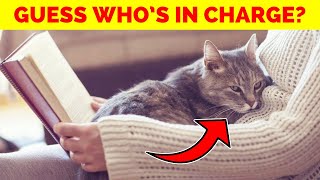 9 Hilarious Signs Your Cat is the REAL Boss of Your Home – MustSee for Cat Lovers [upl. by Dabbs]