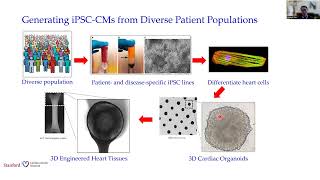 Stem Cells amp Genomics From Precision Medicine to Clinical Trial in a Dish [upl. by Akirea]