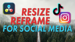 How To Resize And Reframe For Social Media  DaVinci Resolve Tutorial [upl. by Eicyac]