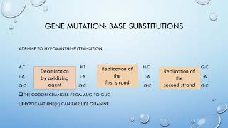 Genetic toxicity 2 [upl. by Gorges]