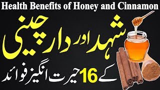 Darhini Aur Shahd Ke Fawaid  Health Benefits of Cinnamon and Honey  Dalchini Aur Shahad Ke Fayde [upl. by Nerraf54]