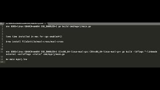Golang Champion cross compile code with go enabled1 using mac [upl. by Minetta]
