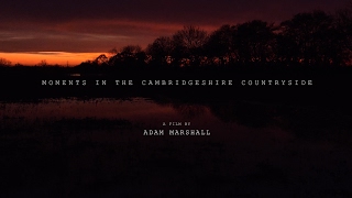 Moments In The Cambridgeshire Countryside  4K TimeLapse Compilation [upl. by Asseralc]