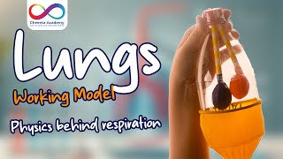 Lungs Working Model  Physics Behind Respiration  Easy Physics Experiment Ep 1  Cheenta [upl. by Anytsirk]