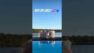 BEAUTIFUL GENDER REVEAL 💕💙 CONGRATS🙌🏼 Credit genderrevealconcept [upl. by Jemmy624]