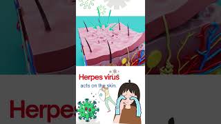 Herpes Virus EXPERT Reveals Shocking Pathology Secrets 3D Animation canceranimation health [upl. by Elrahc]