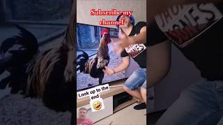 Funny shorts Rooster Chris💞😁 funny comedy chicken memes animals icechallenge comedyfilms ice [upl. by Brest]