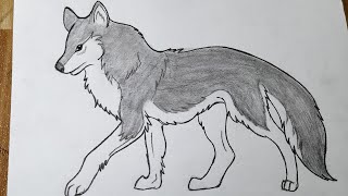 How to draw a wolf  Easy wolf drawing for beginners [upl. by Maffa969]