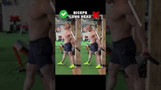 quotGet Bigger Biceps with This Long Head Cable Workout Routinequot [upl. by Einhpad]