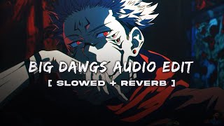 🔥Big Dawgs Audio Edit  LofiSlowed  Reverb  Lofi Music [upl. by Lipfert]