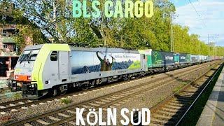 Zugverkehr In Köln Süd  BLS Cargo BR 486 amp Railflex BR 152 amp RheinCargo BR 285 272 amp ICE 26 uvm [upl. by Adamo678]