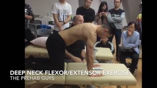 Quadruped Deep Neck Flexor and Extensor Exercise [upl. by Ayrad763]