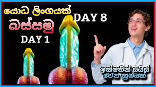 යොධ ලිංගයක් කරමු 💦 23 ක්‍රමය  TopiyaA [upl. by Adnuhsar636]