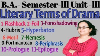 Literary Terms of Drama  BA3rd Semester Unit3  Fully explained in Hindi [upl. by Atsirhcal926]