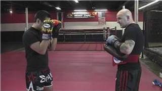 Kickboxing Training  Basic Kickboxing Techniques [upl. by Adnamas]