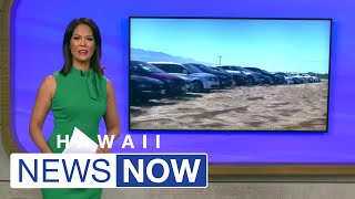 18000 rental cars are sitting idle at Kahului’s airport — a dramatic sign of Maui’s tourism slum [upl. by Samara]