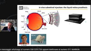 Prof Benfenati Retina liquida nanoparticelle polimeriche fotovoltaiche nelle distrofie retiniche [upl. by Voltmer966]