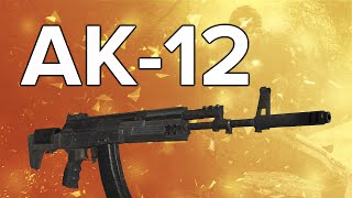 Advanced Warfare In Depth AK12 Assault Rifle Review amp Variants Guide [upl. by Rosecan]