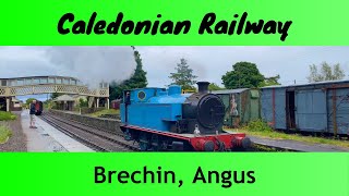 Caledonian Railway Brechin  Traingenix [upl. by Sivla431]